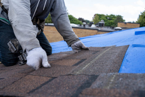 Best Roof Leak Repair  in Cave City, KY